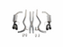 Roush 18-23 Mustang 5.0L V8 Black Tip Cat Back Exhaust Kit (Quad Tip Non-Active)