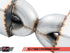 AWE Tuning Audi B9 S5 Sportback Touring Edition Exhaust - Non-Resonated (Black 102mm Tips) - AWE3020-43064